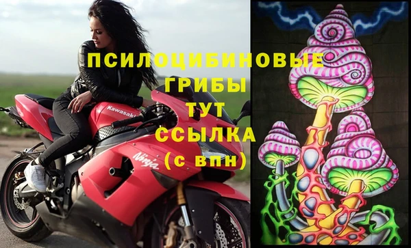 гидра Белоозёрский