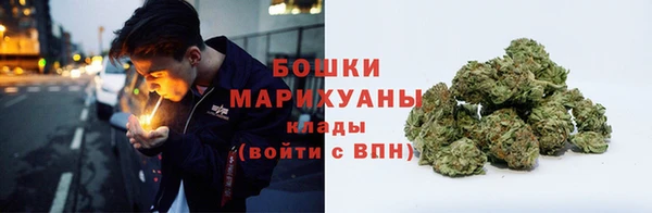 гидра Белоозёрский