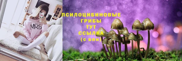 гидра Белоозёрский