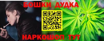 PSILOCYBIN Гатчина