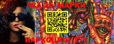 PSILOCYBIN Гатчина