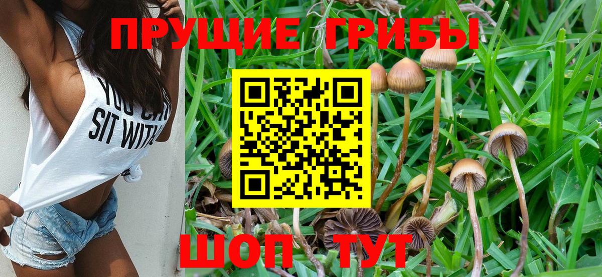 Галлюциногенные грибы мицелий Видное
