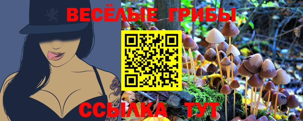 Видное  Галлюциногенные грибы Cubensis  Вход с VPN  Псилоцибиновые грибы мицелий 