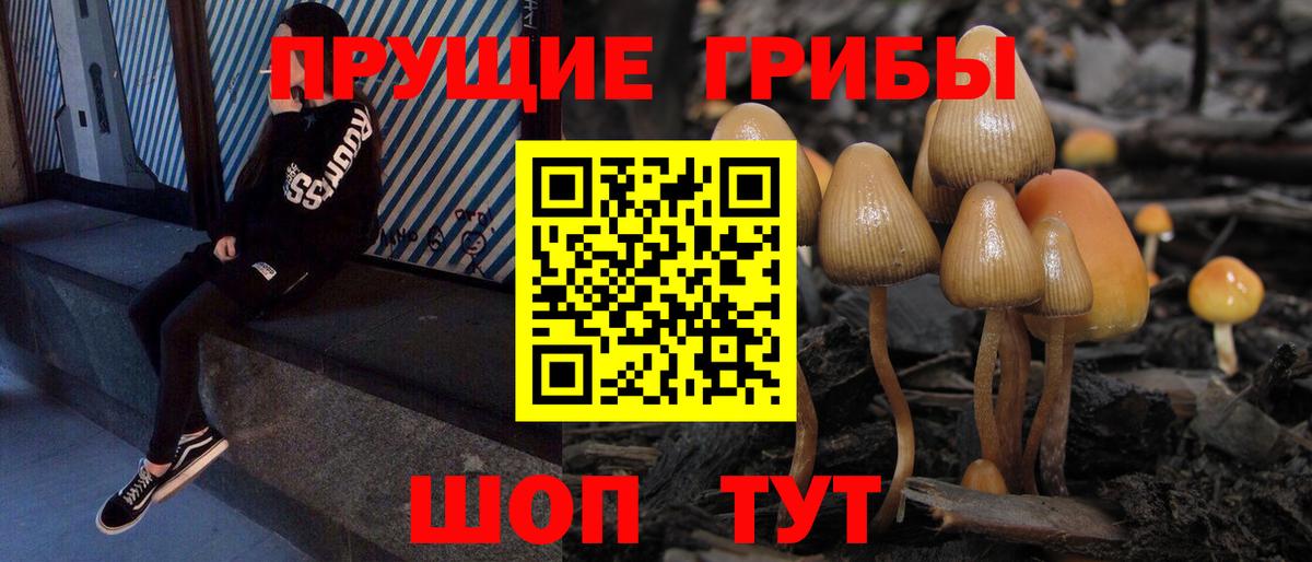 Псилоцибиновые грибы мицелий  где можно купить наркотик  Видное  Псилоцибиновые грибы мухоморы 